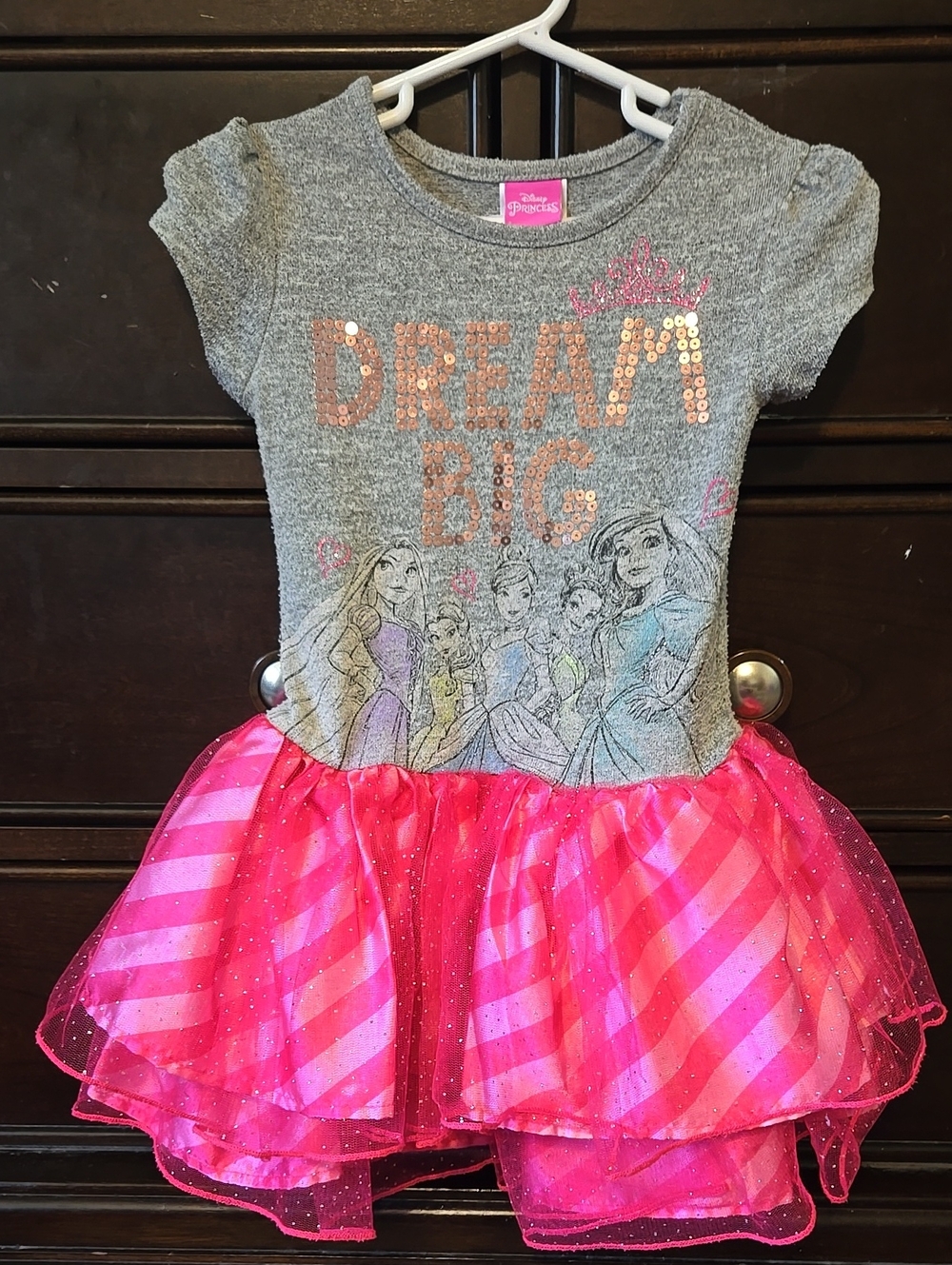 Girls' 4/5 Disney Princess Tulle Dress